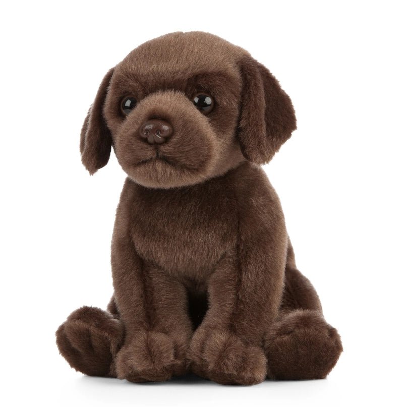 Chocolate Labrador Puppy Plush - Modern Companion