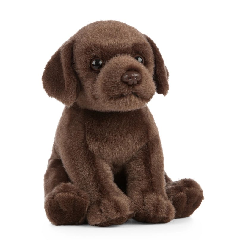 Chocolate Labrador Puppy Plush - Modern Companion