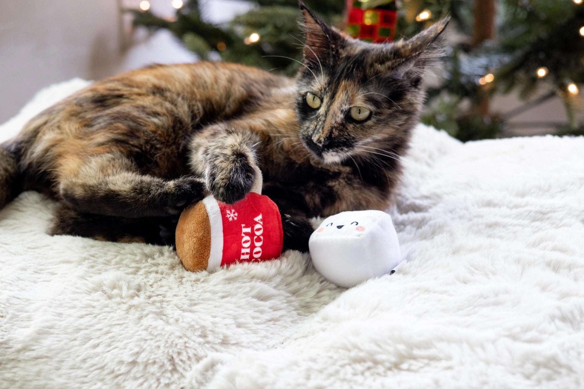 Christmas Hot Cocoa Cat Toys Set - Modern Companion