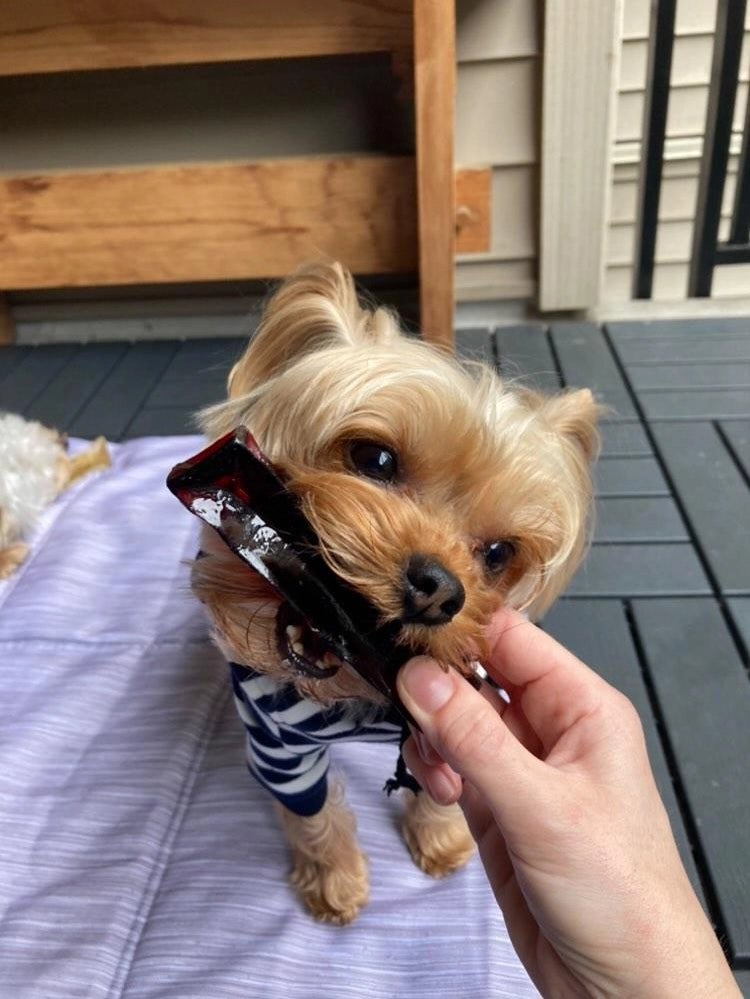 Collagen Bacon Chew - Modern Companion