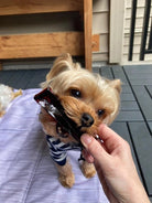 Collagen Beef Liver Chew - Modern Companion