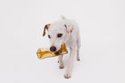 Collagen Pork Parsley Chew - Modern Companion