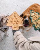 Cookie Tree Lick Mat Set - Modern Companion