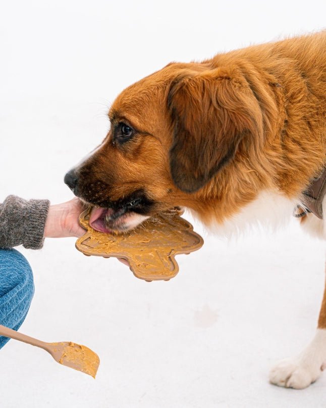 Cookie Tree Lick Mat Set - Modern Companion