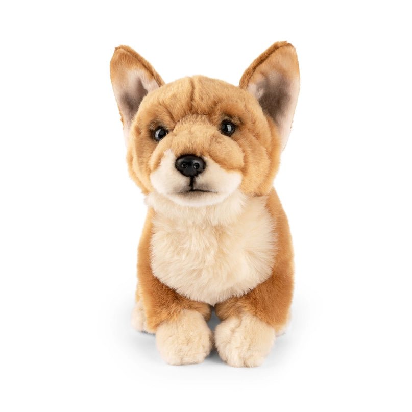 Corgi Plush - Modern Companion