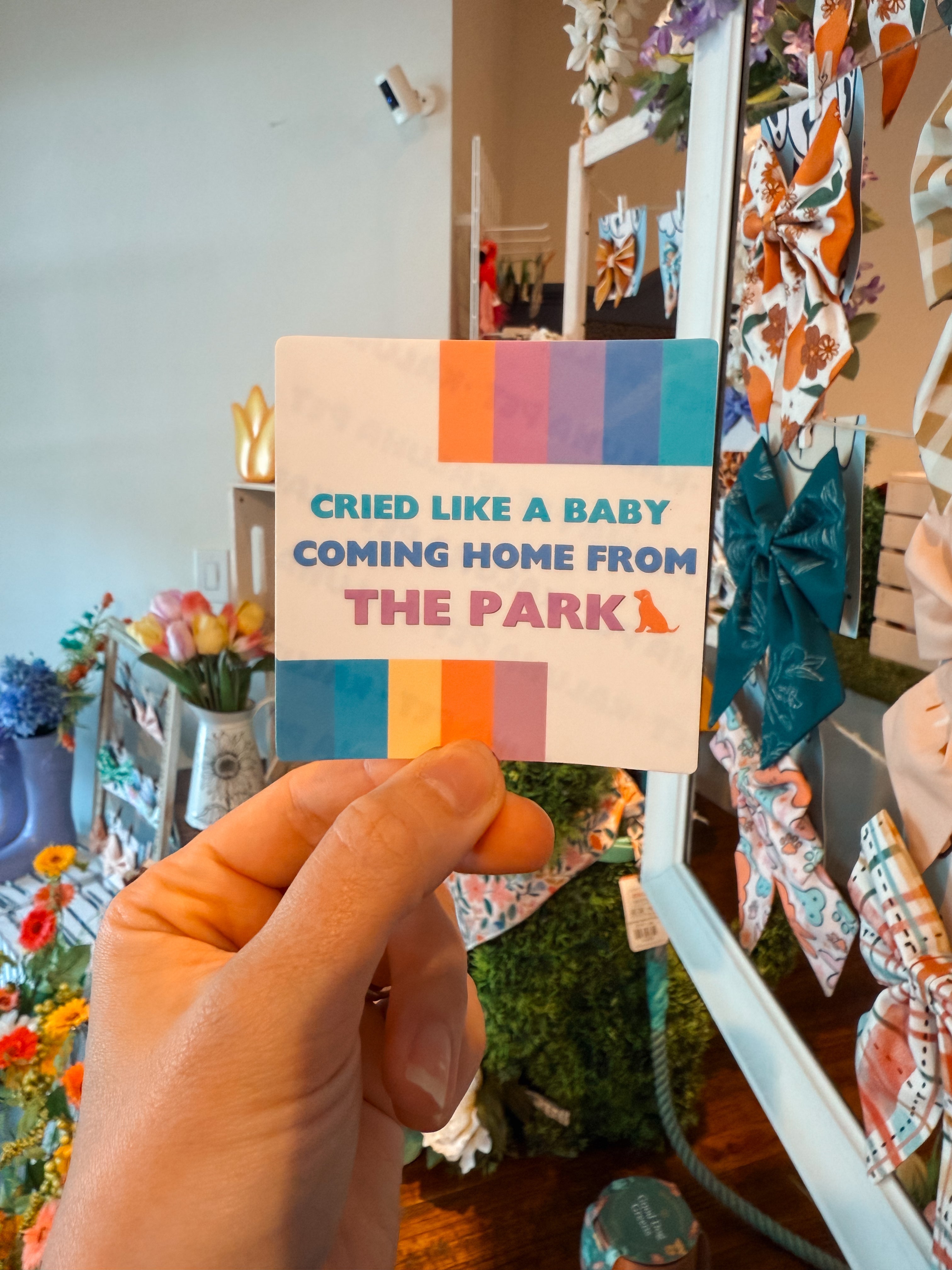 Cried Like a Baby Coming Home from the Park Sticker - Modern Companion