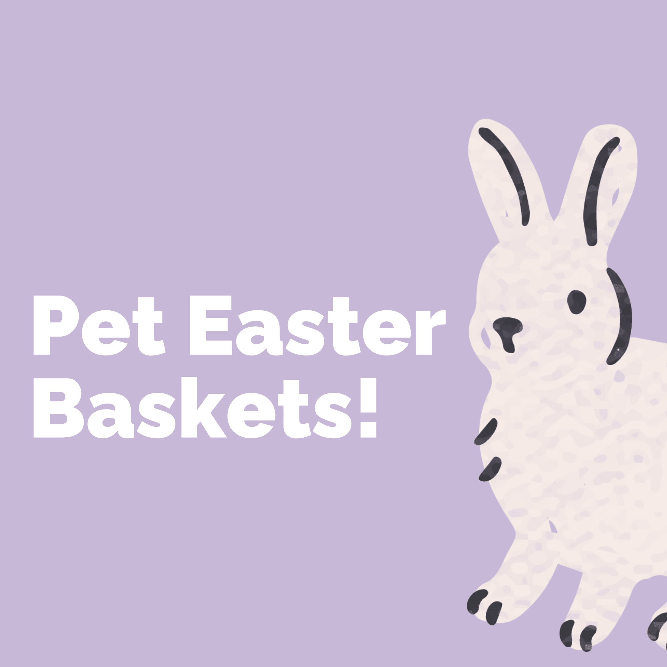 Curated Pet Easter Baskets 2026 - Modern Companion