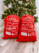 Curated Pet Santa Sacks 2025 - Modern Companion