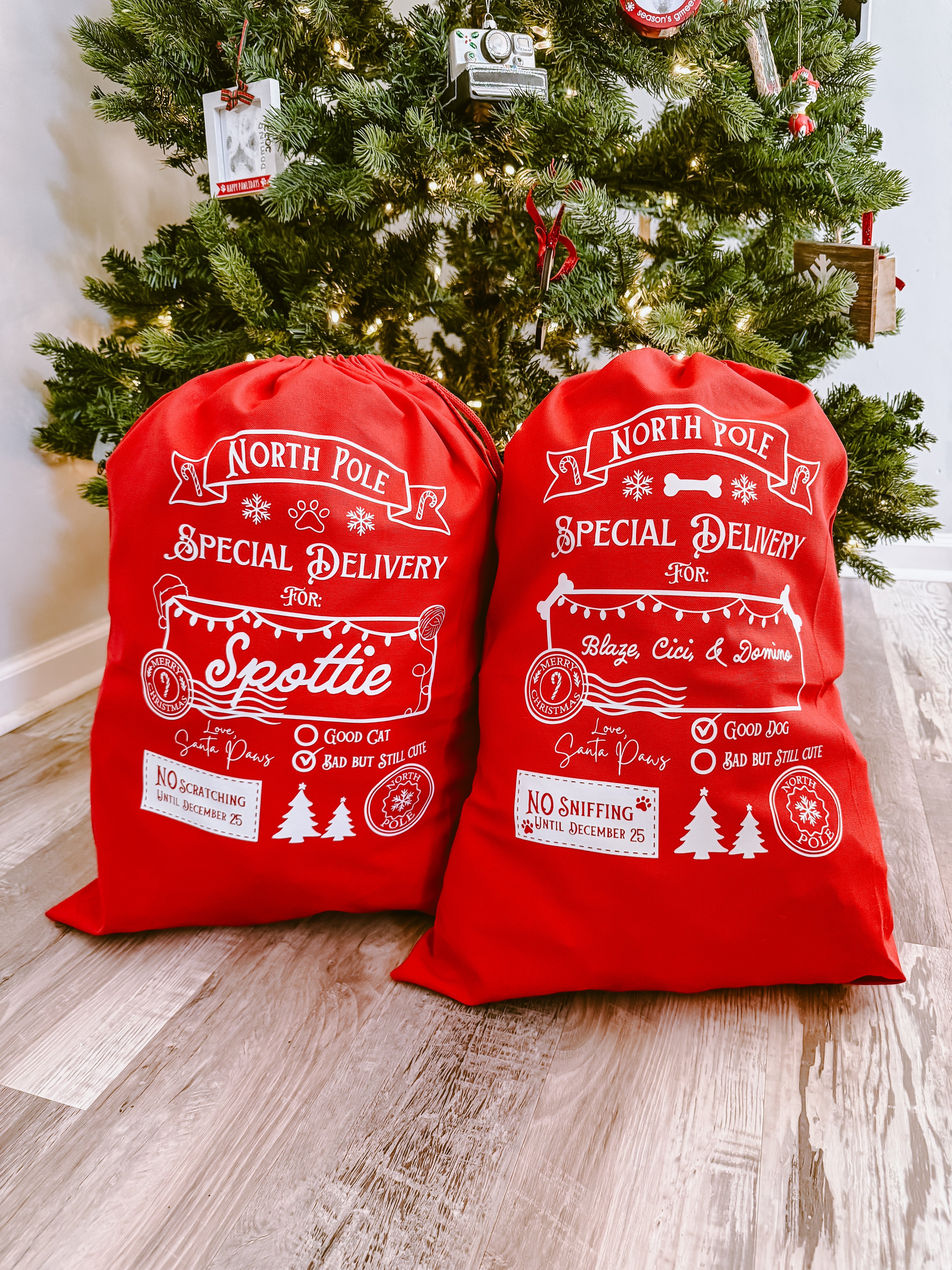 Curated Pet Santa Sacks 2025 - Modern Companion