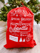Curated Pet Santa Sacks 2025 - Modern Companion