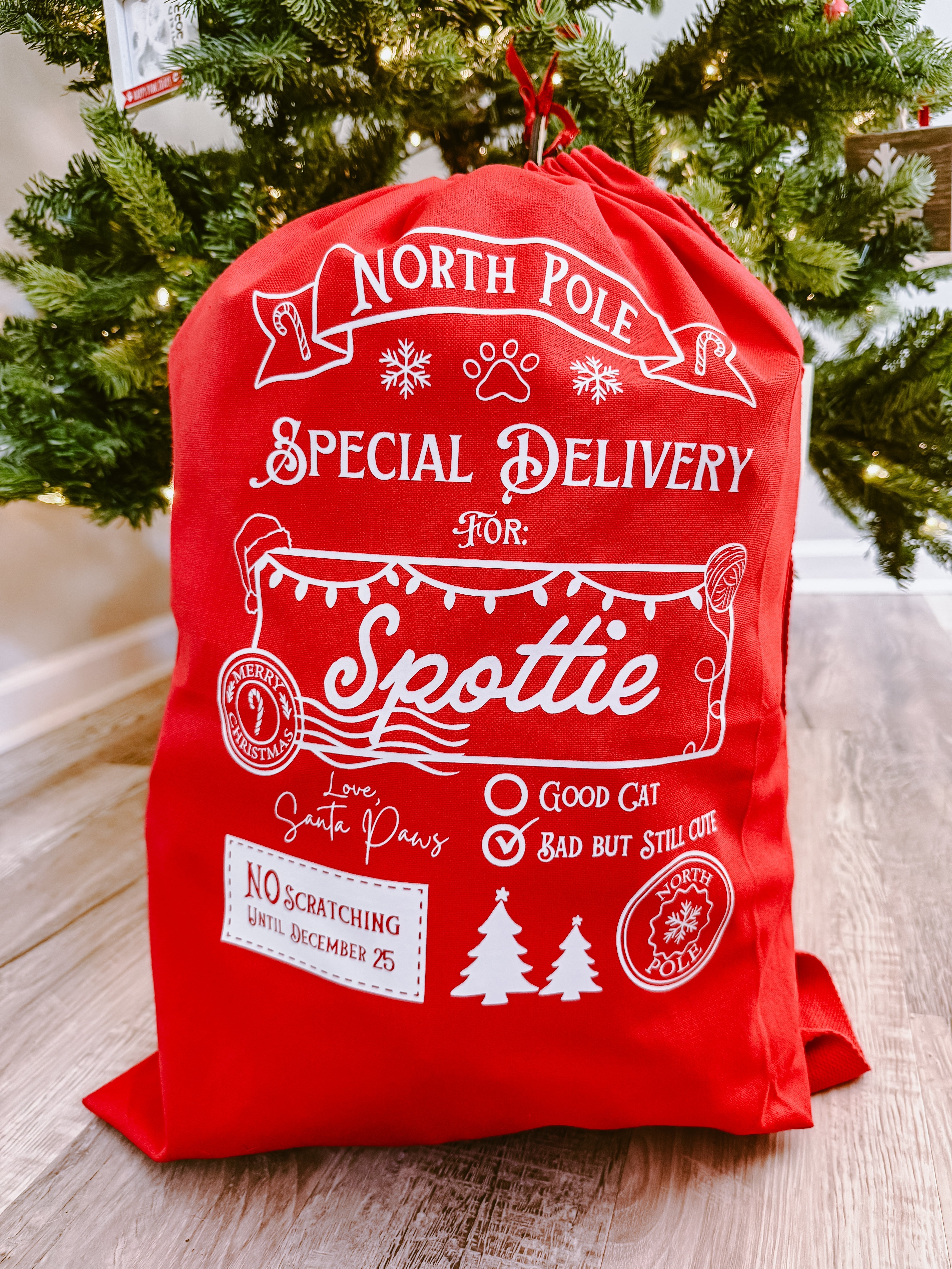 Curated Pet Santa Sacks 2025 - Modern Companion
