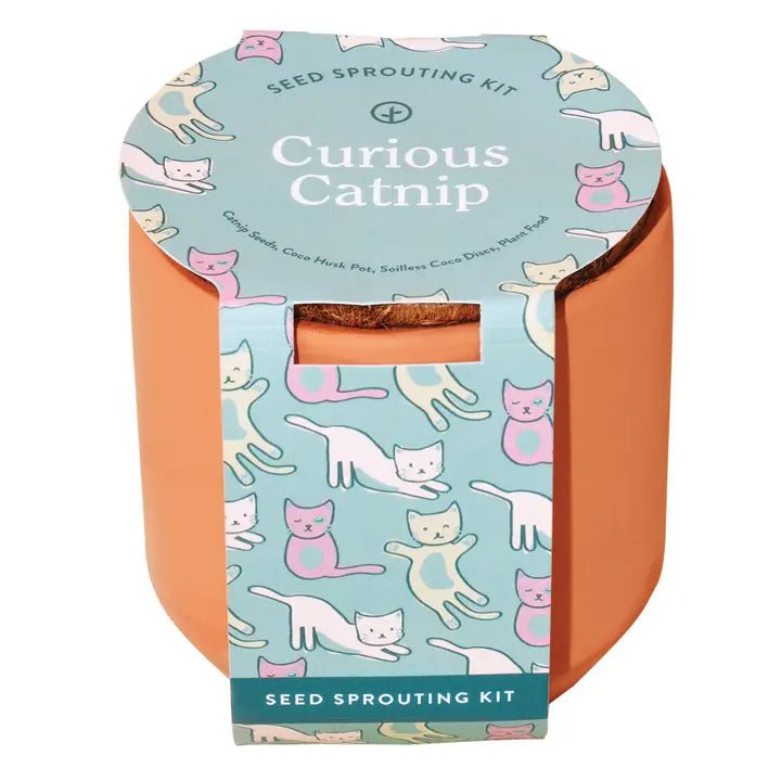 Curious Catnip Terracotta Pet Grow Kits - Modern Companion