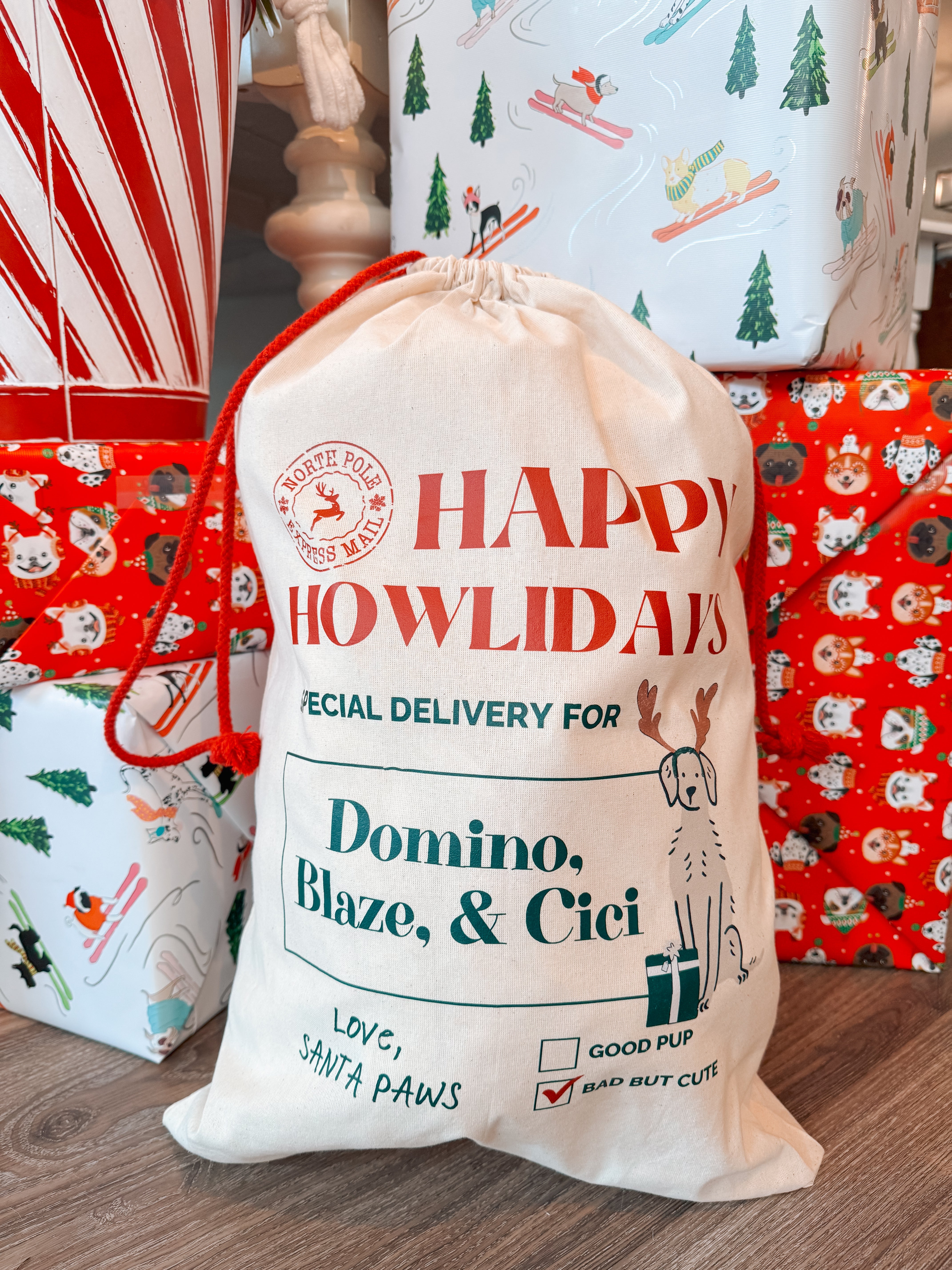 Customizable Curated Pet Santa Sacks - Modern Companion