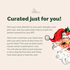 Customizable Curated Pet Santa Sacks - Modern Companion