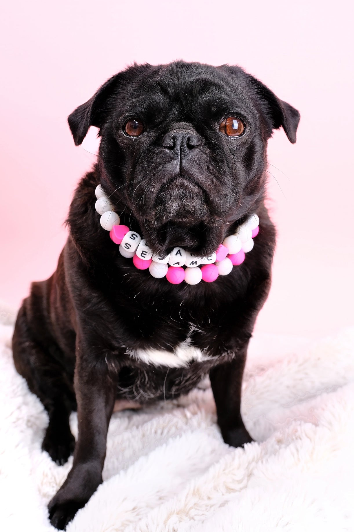 Customizable Friendship Bracelet Pet Collar - Modern Companion