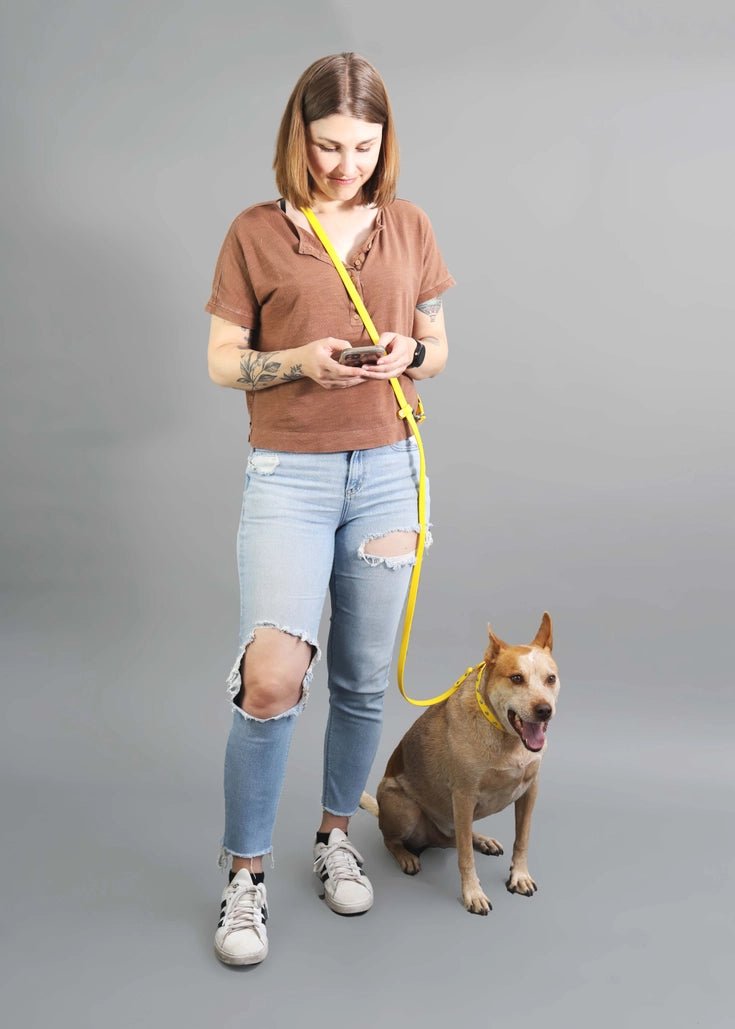 Customizable Hands Free Leash - Convertible Waterproof Biothane Lead - Modern Companion