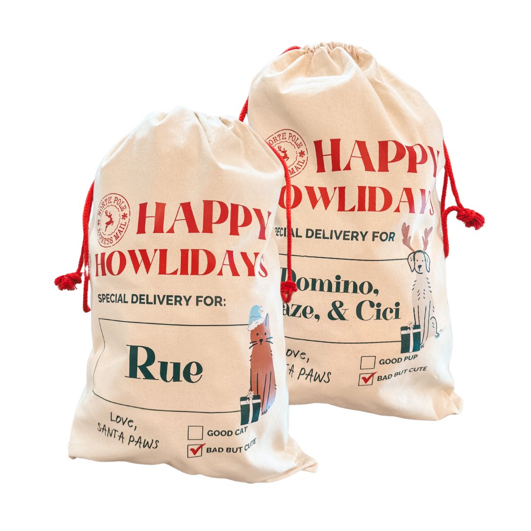 Customizable Pet Name Santa Sacks - Modern Companion