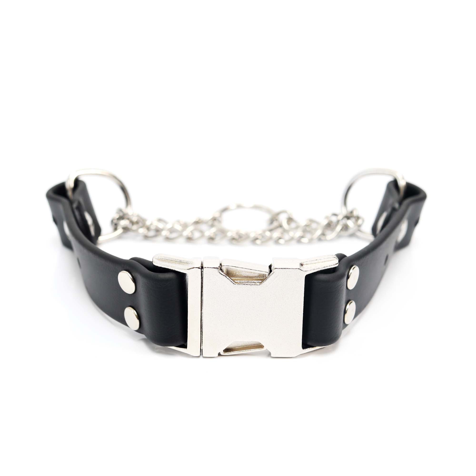 Customize Your Own Biothane Martingale Collar - Modern Companion