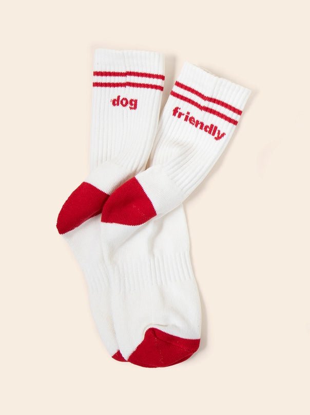 Dog Friendly Socks - Modern Companion