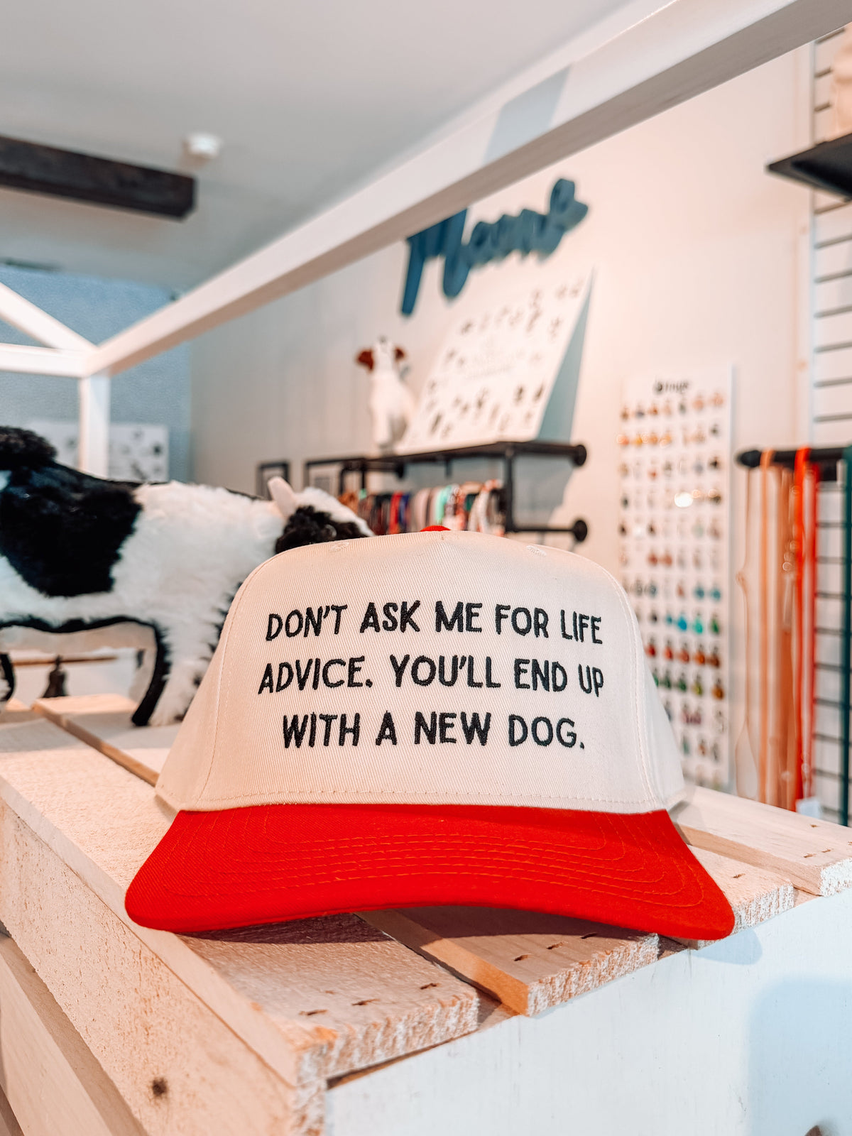 Don't Ask Me For Life Advice Hat - Modern Companion