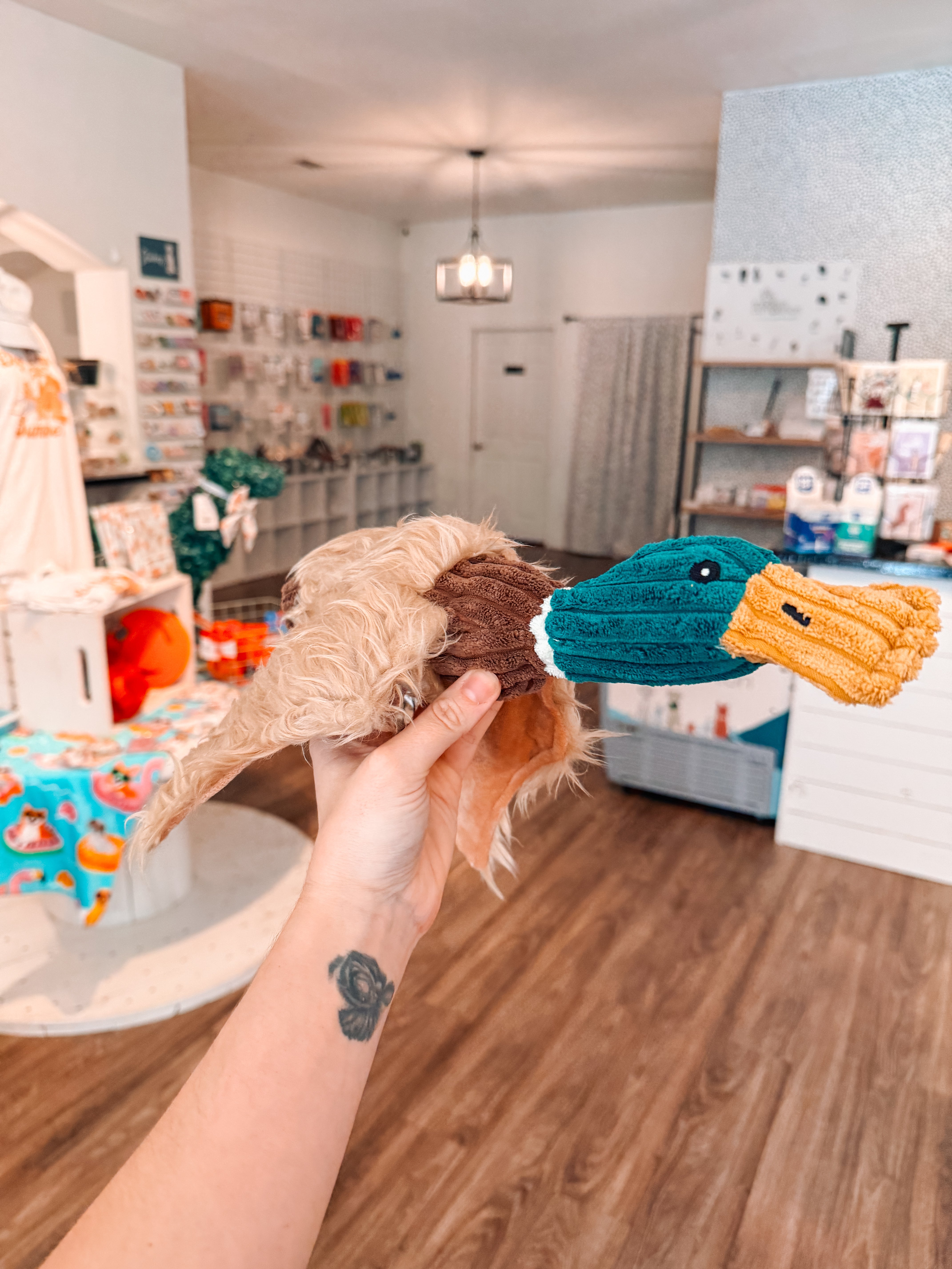 Drake Duck Toy - Modern Companion