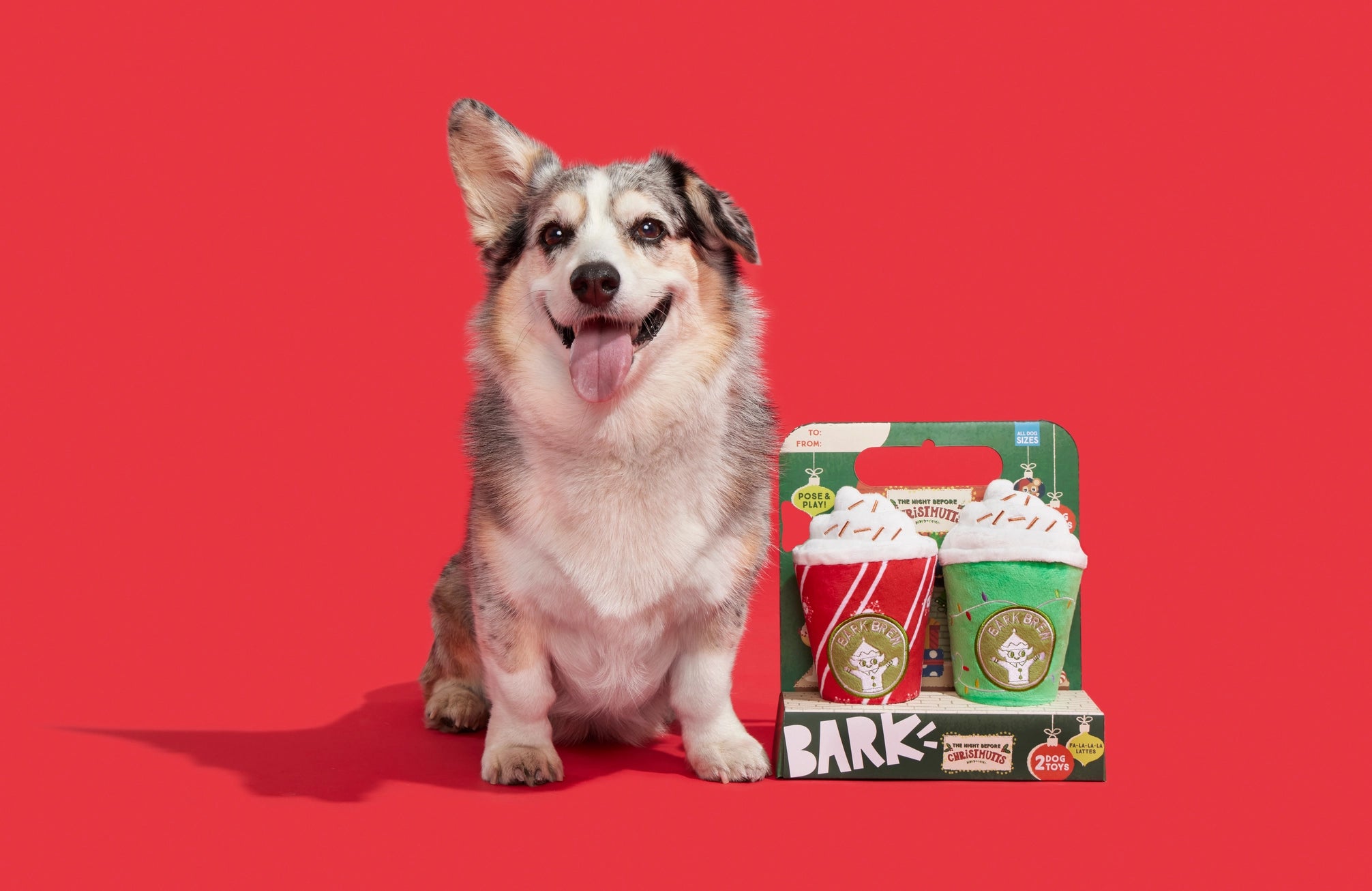 Fa - La - La - Lattes Toy - Modern Companion