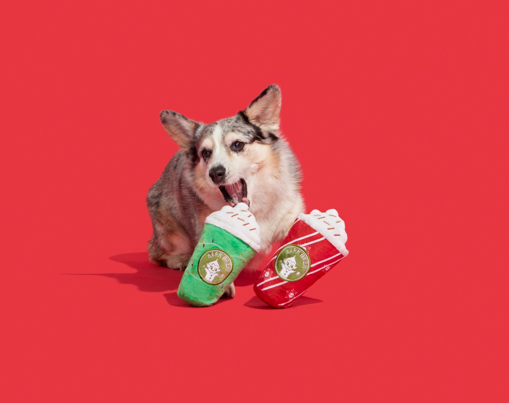 Fa - La - La - Lattes Toy - Modern Companion