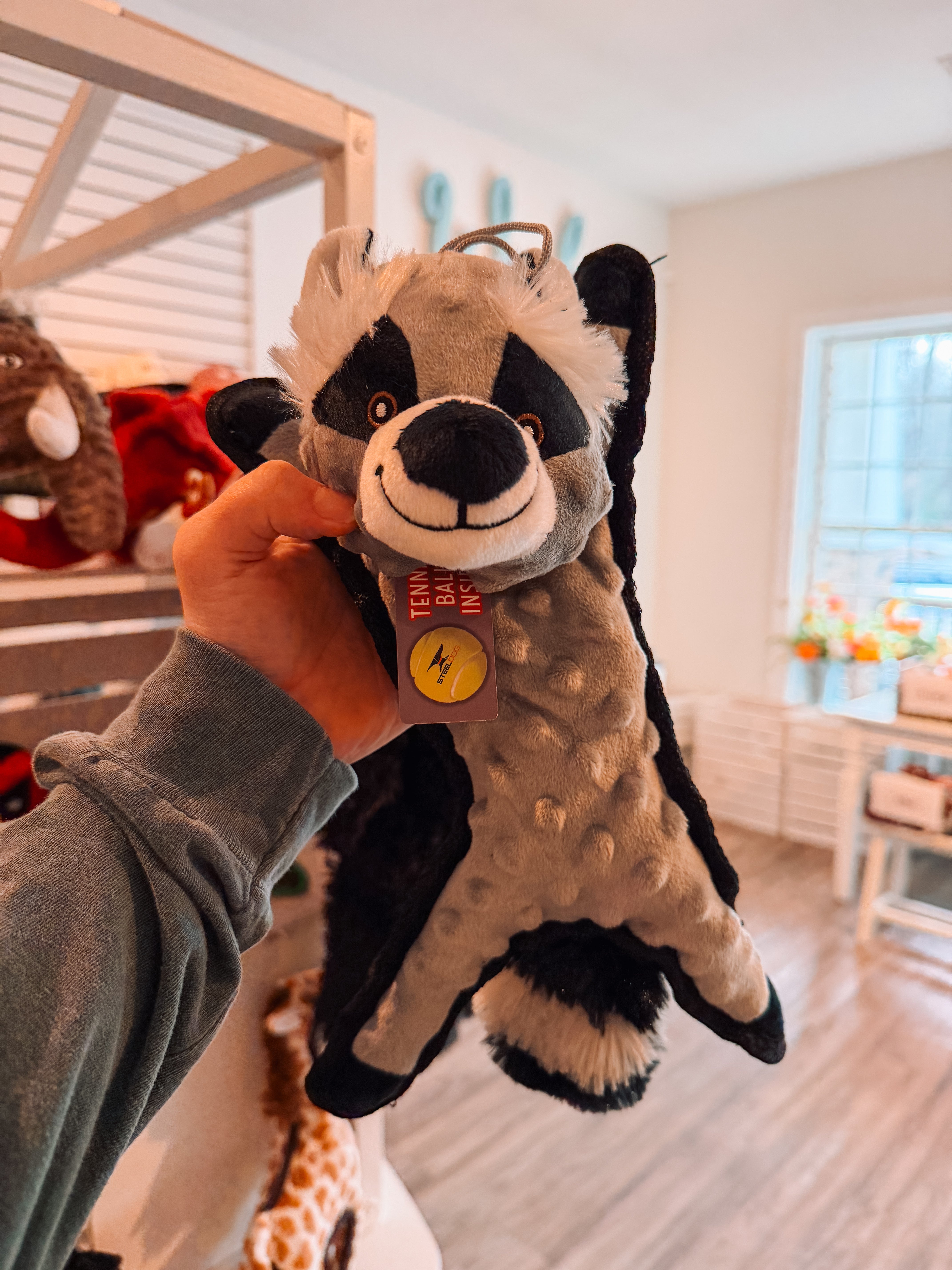 Flat Bumpy Raccoon - Modern Companion