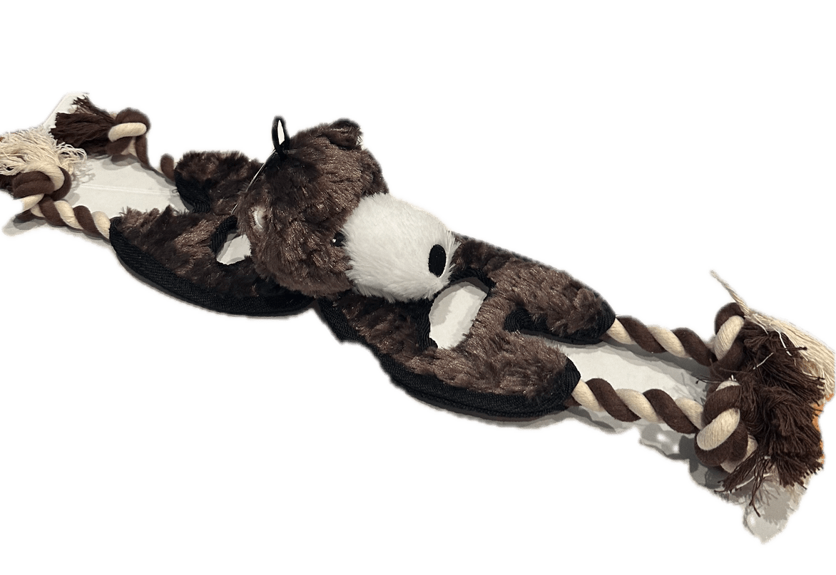 Flat Tugger Bear - Modern Companion