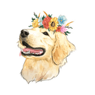 Flower Crown Golden Retriever Sticker - Modern Companion