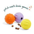 Flyball 3 Pack - Modern Companion