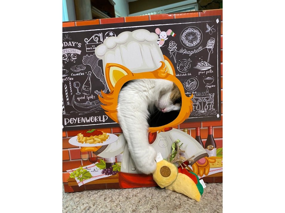 Food Cat Wand Set - Modern Companion