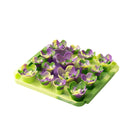 Forage Mat Solico Succulent Purple - Modern Companion