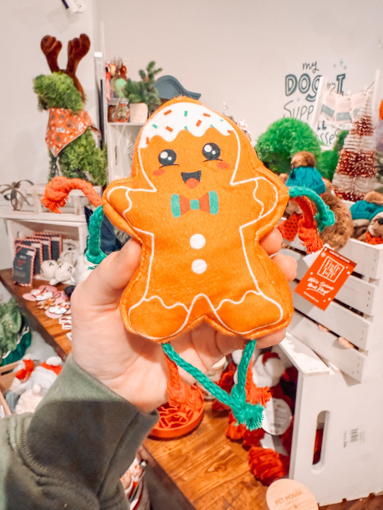 Fred the Gingerbread Cat Toy - Modern Companion