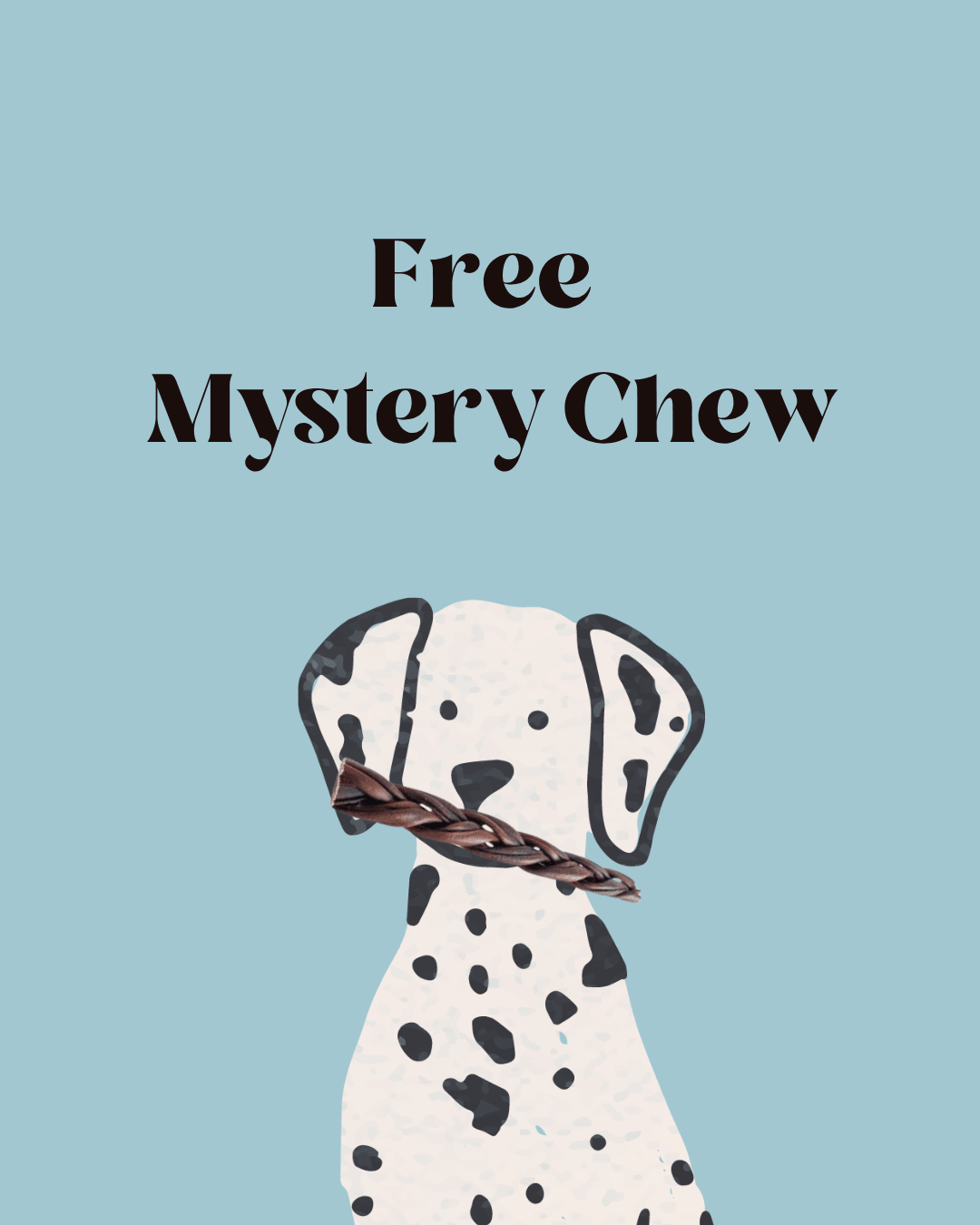 Free Mystery Chew - Modern Companion