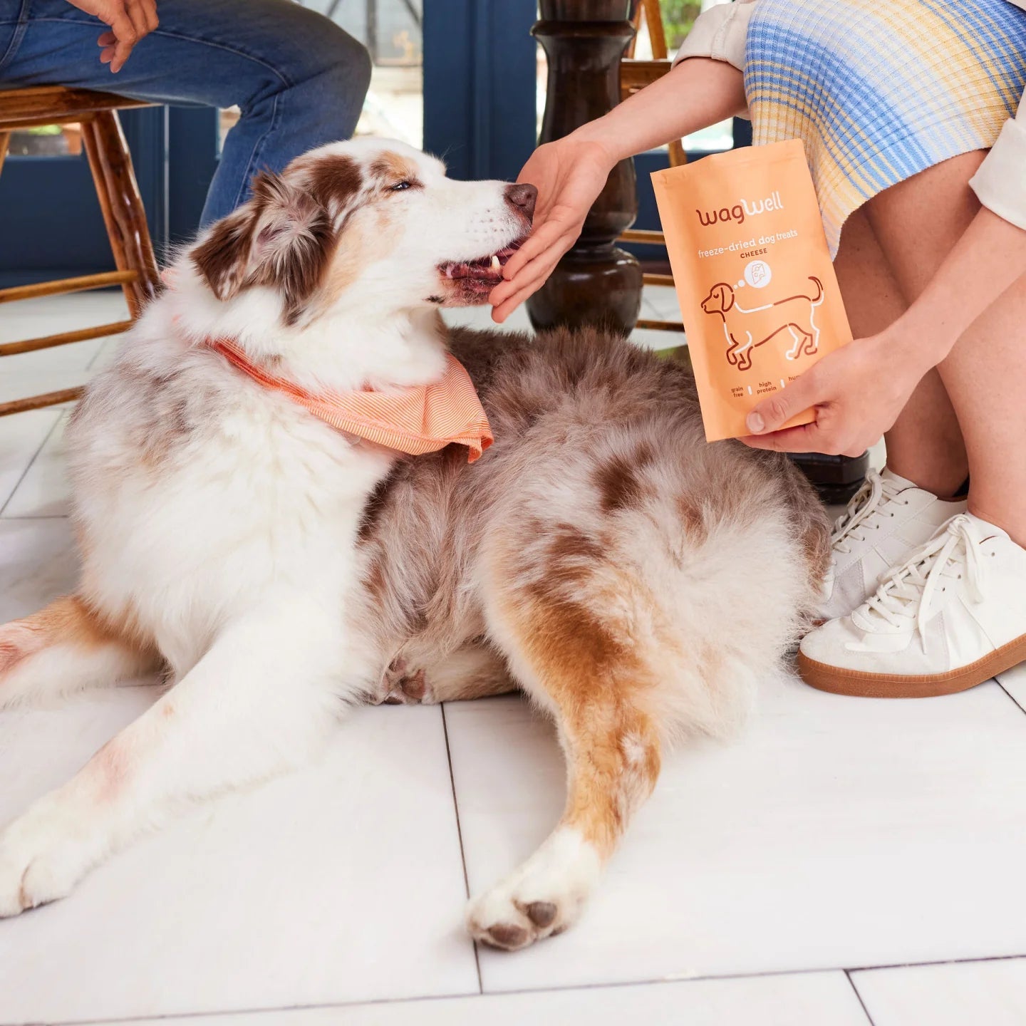 Freeze - Dried Cheese Dog Treat - Modern Companion