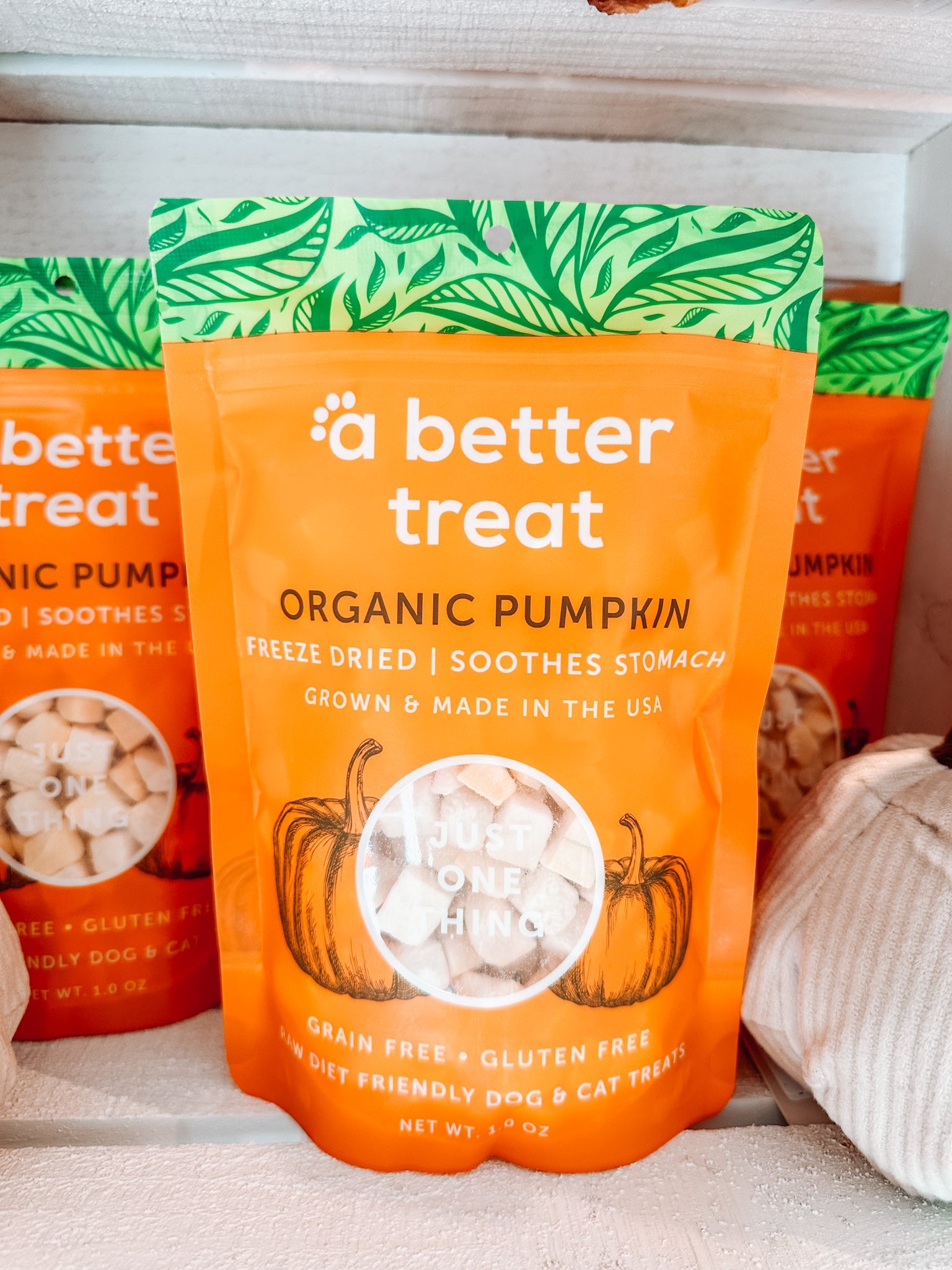 Freeze Dried Raw Pumpkin Dog Treats - Modern Companion