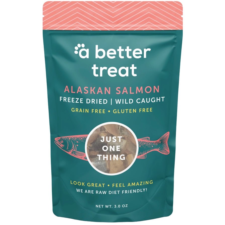 Freeze Dried Wild Caught Salmon Treats - Modern Companion