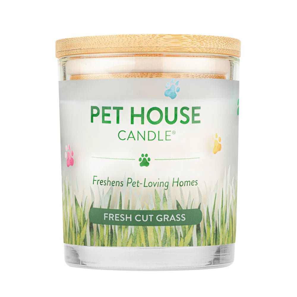 Fresh Cut Grass Candle - Modern Companion