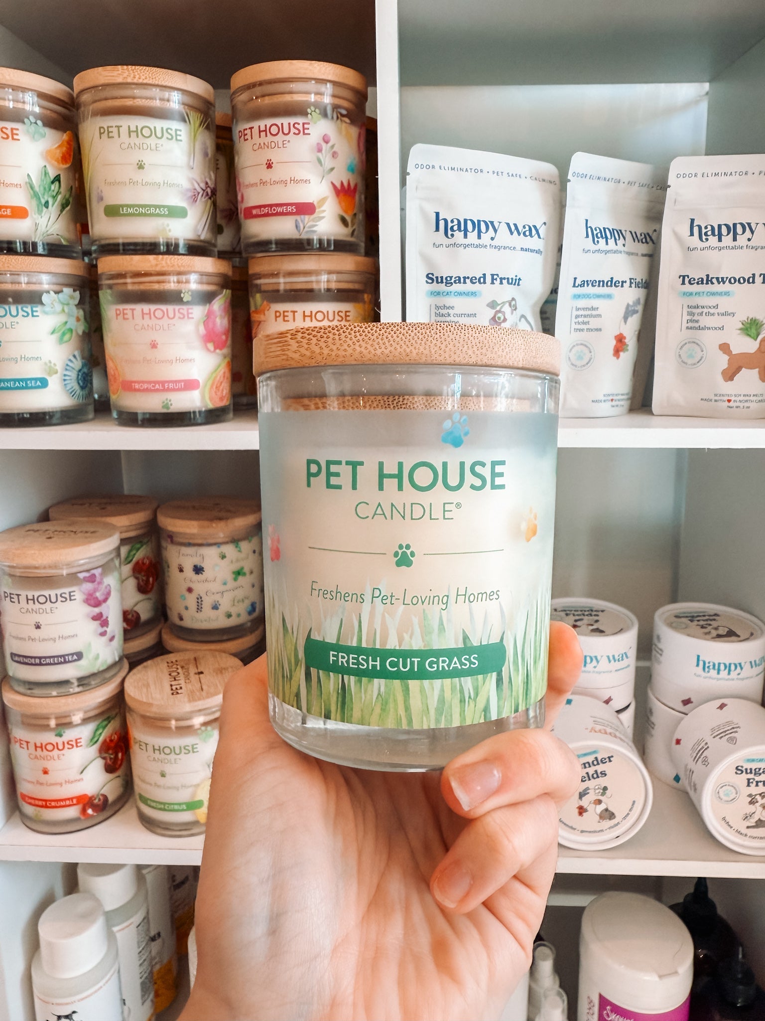 Fresh Cut Grass Candle - Modern Companion