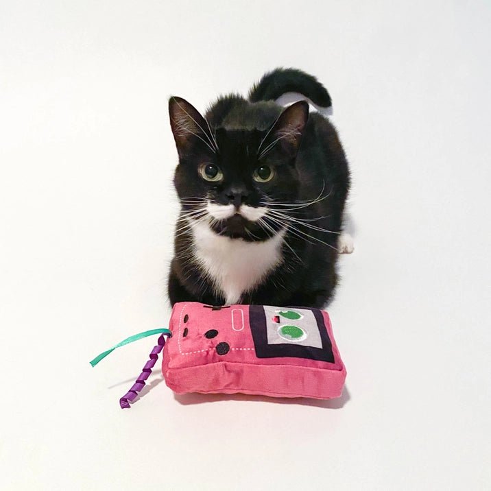 Game Buddy Cat Toy - Modern Companion