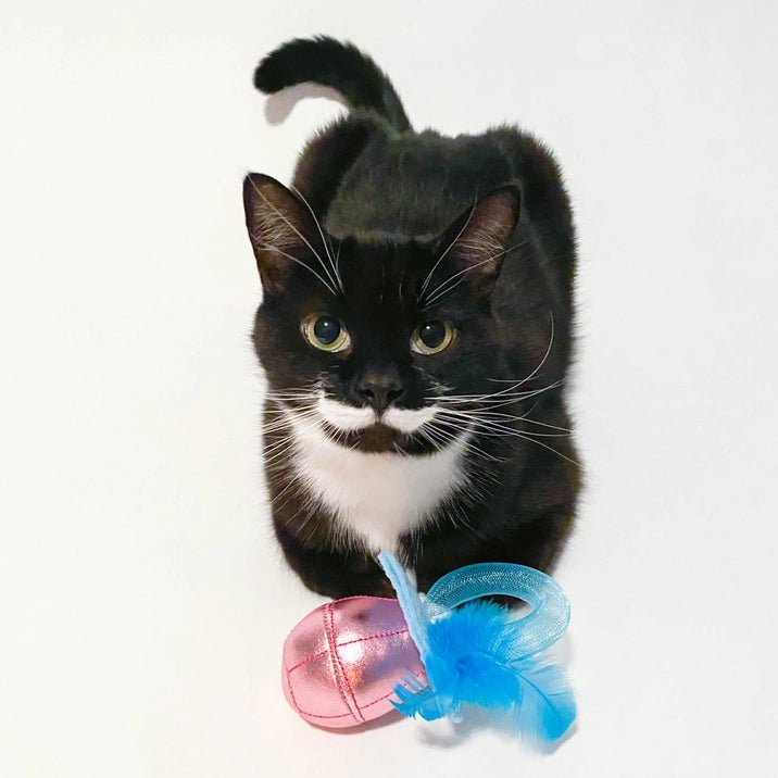 Gem Pawp Cat Toy - Modern Companion