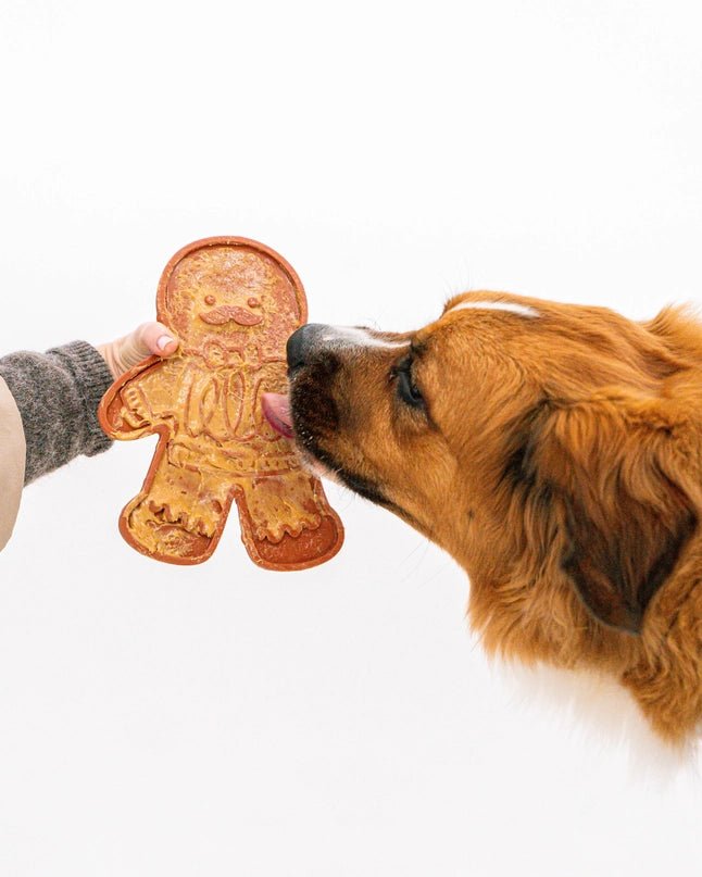 Gingerbread Man Lick Mat Set - Modern Companion