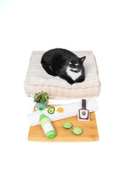 Green Juice Kicker Cat Toy - Modern Companion