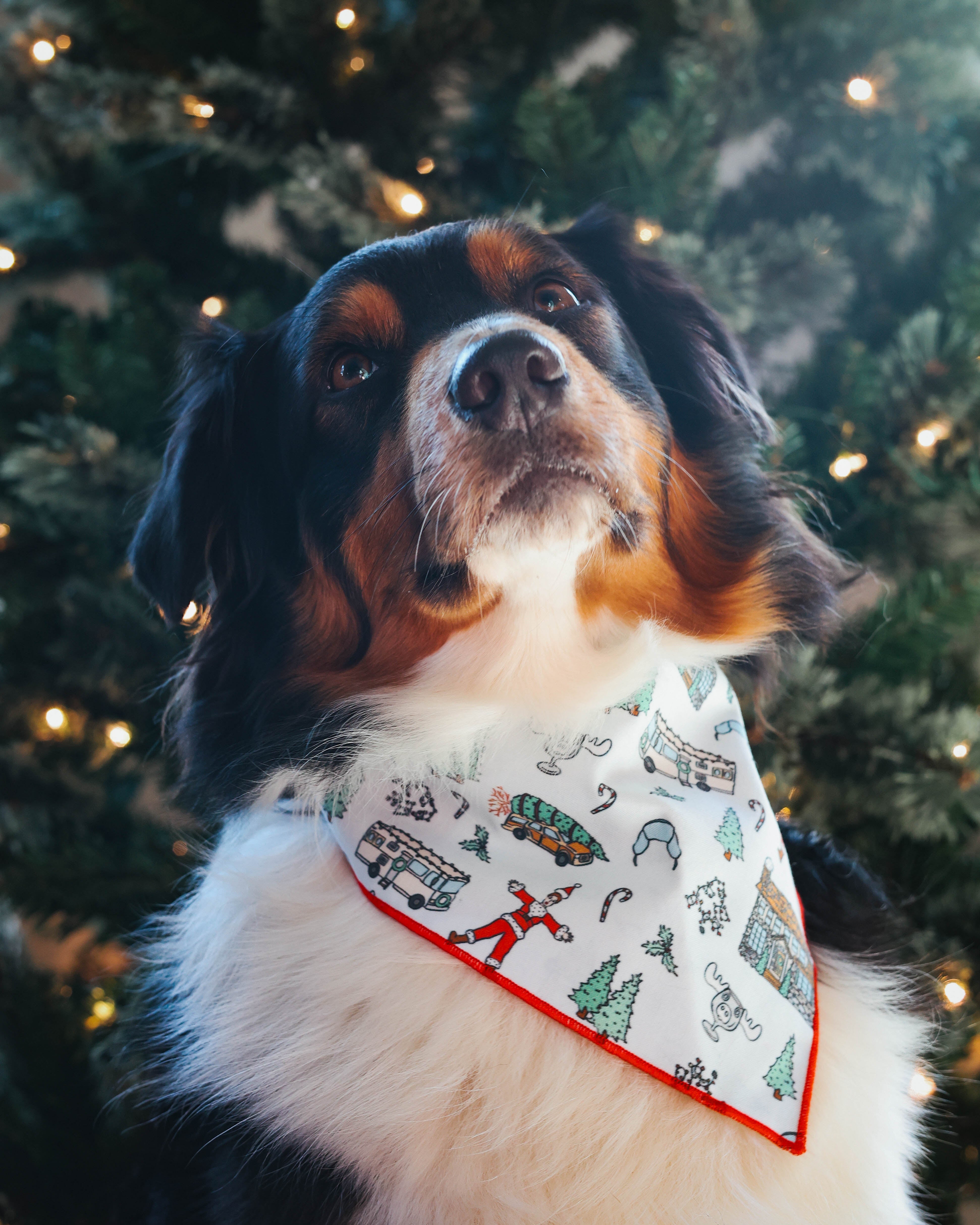 Griswold Pet Bandana - Modern Companion