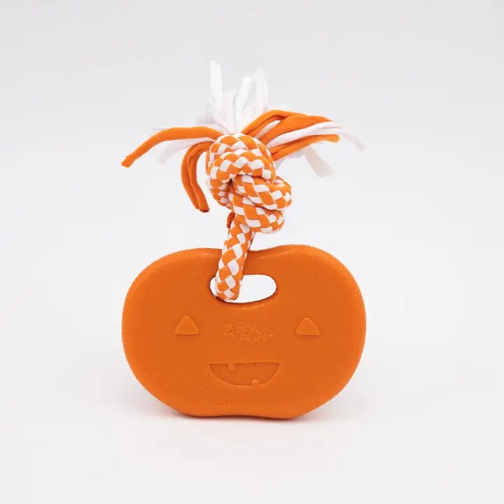 Halloween Puppy Teether - Modern Companion