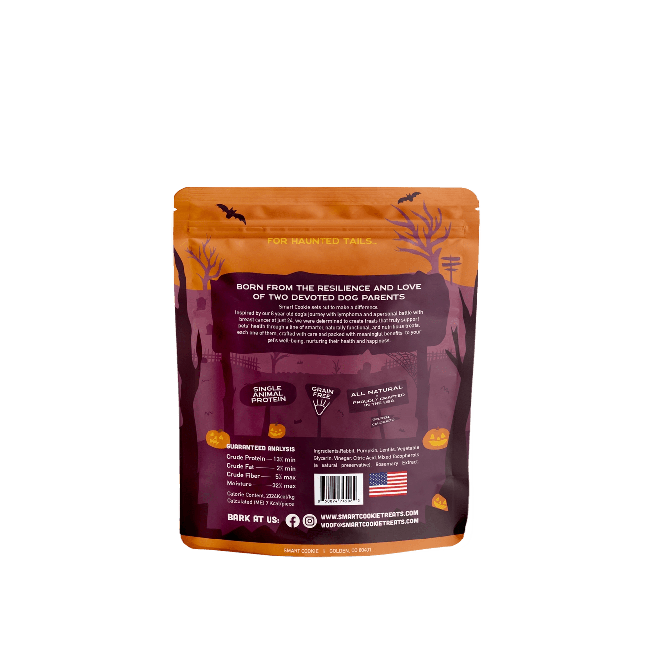 Halloween Rabbit & Pumpkin Soft & Chewy Dog Treats - Modern Companion
