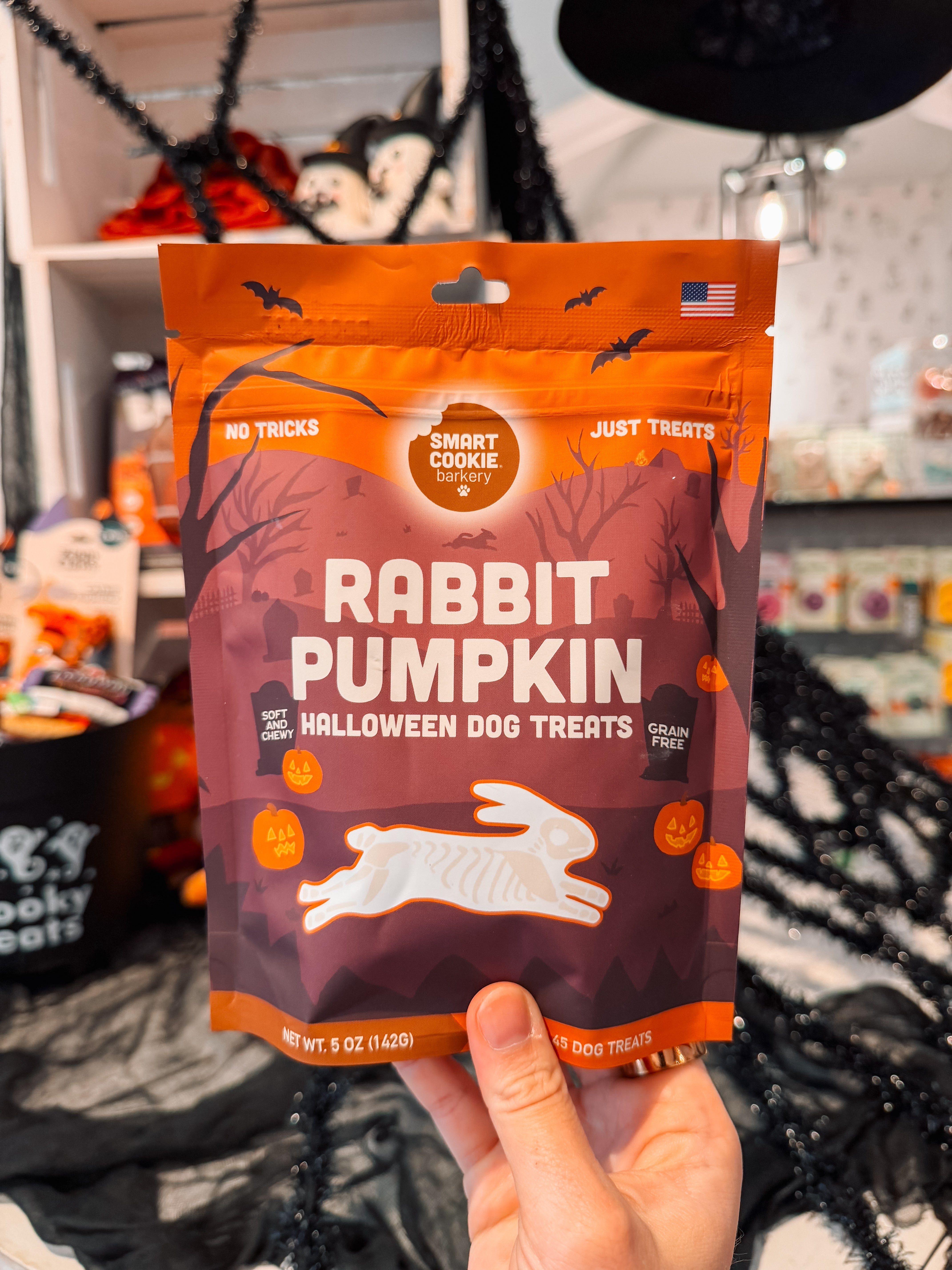 Halloween Rabbit & Pumpkin Soft & Chewy Dog Treats - Modern Companion