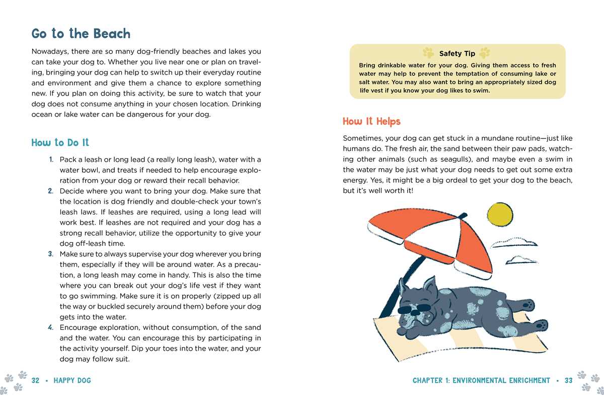 Happy Dog Enrichment Book - Modern Companion