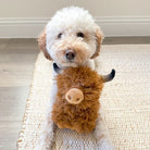 Highland Cow - Modern Companion